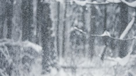 Paisaje-Invernal-Durante-Las-Nevadas.-Fondo-Abstracto-De-Navidad-De-Invierno-En-Cámara-Súper-Lenta.