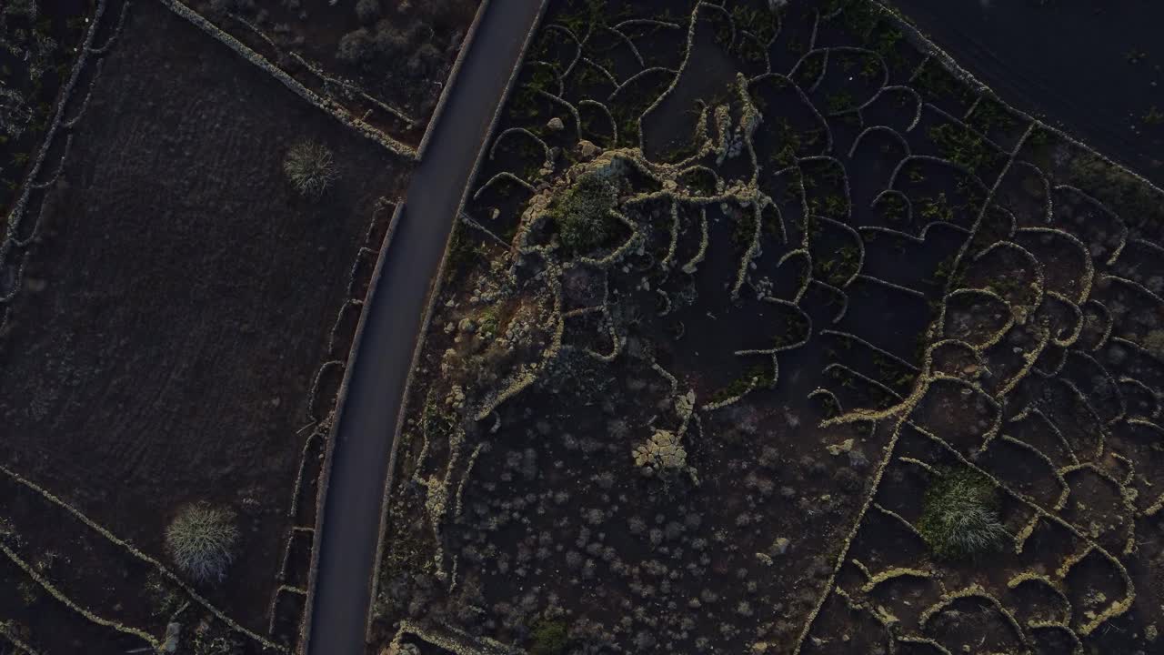 Narrow Road Between The Rough Landscape In Ye Village Near Corona Volcano In Lanzarote Island, Spain. aerial