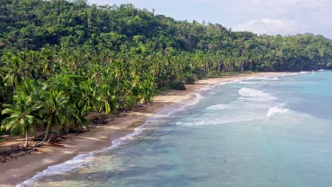 Playa-Virgen-Dominicana-Bordeada-De-Palmeras-De-Playa-Coson-Mientras-Las-Olas-Del-Océano-Ruedan-Suavemente-Hacia-La-Orilla---Disparo-De-Drones-Hacia-Adelante