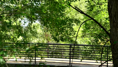 ciclistas cruzando un puente durante una carrera de bicicletas