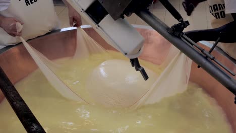 producción de queso parmesano, formando