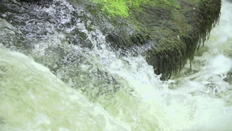 Fresh-flowing-water-brook-waterfall-with-water-drops-in-the-nature-with-a-stone-with-moss-in-the-background-slow-motion-close-up-shot