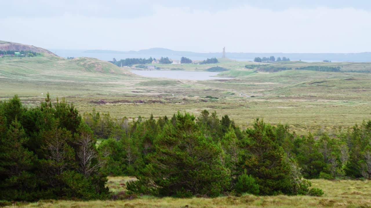 헤브리드 제도 스토르노웨이 앞 에 있는 숲 에 있는 소나무 들 의  ⁇