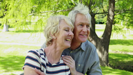 senior couple in the park