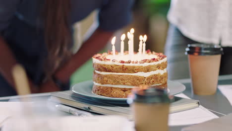 cake, birthday and party with a woman employee