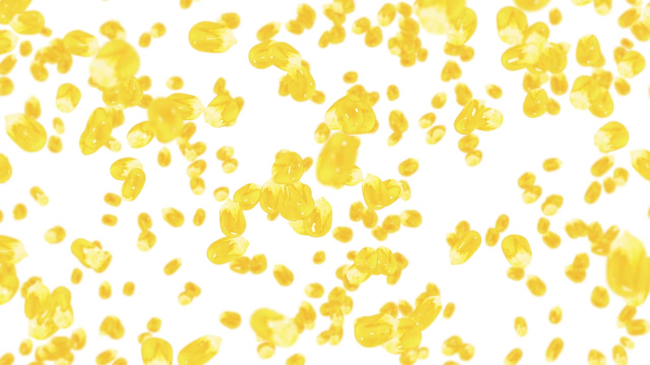 색 배경에 많은 옥수수 어리를 날려. 노란 달한 옥수스 씨. 채식주의자. 건강한 음식. 옥수수가 회전하는 3d 루프 애니메이션.