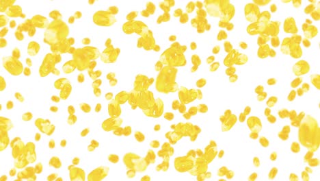 flying many corn grains on white background. yellow sweet corn seeds. vegetarian. healthy food. 3d loop animation of corn rotating.