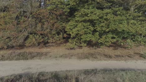 Side-drone-shot-of-mountainbiker-riding-through-forest