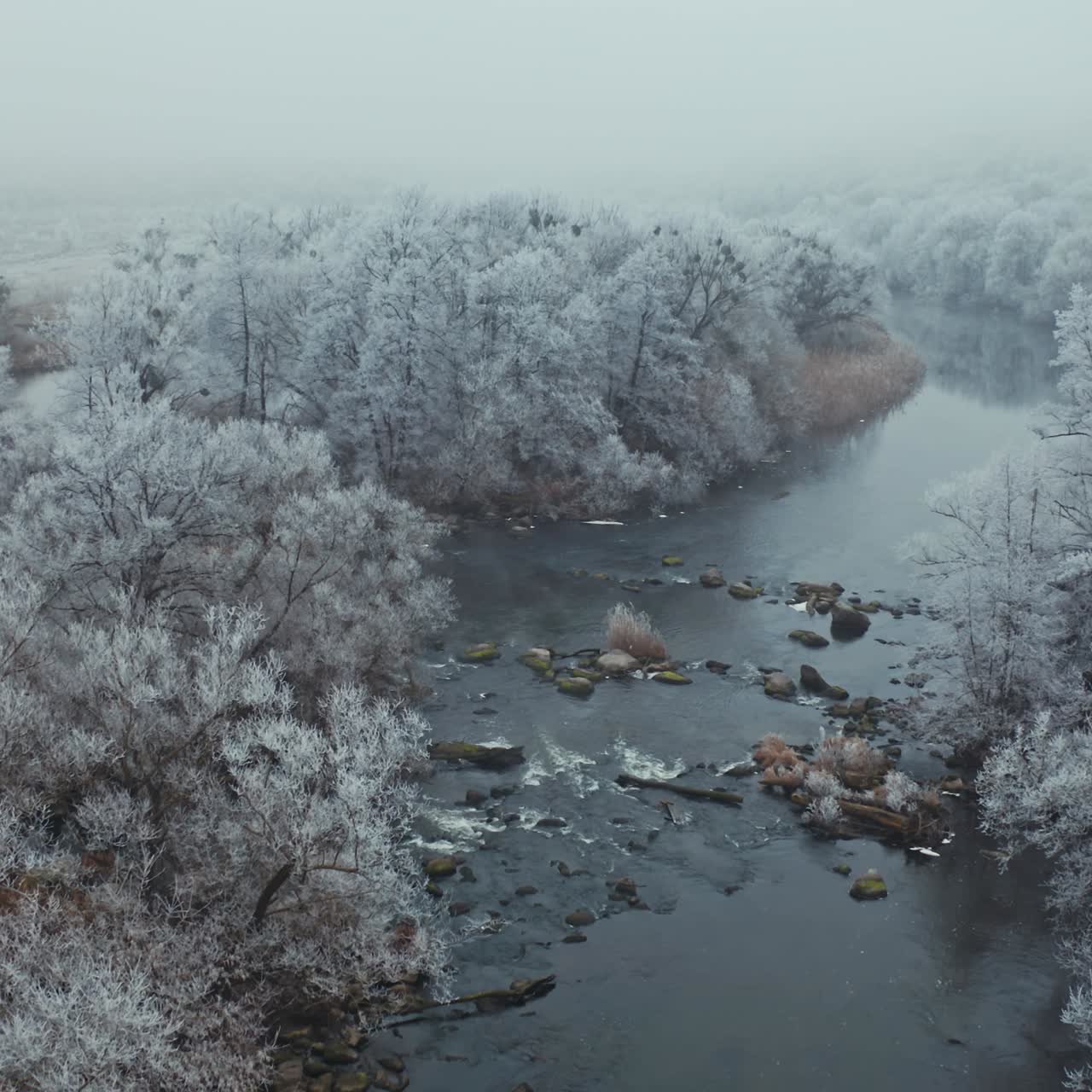 Nature scene in winter. White frozen trees over the river in cold season. Shallow river in the forest. Trees under snow. Aerial view.