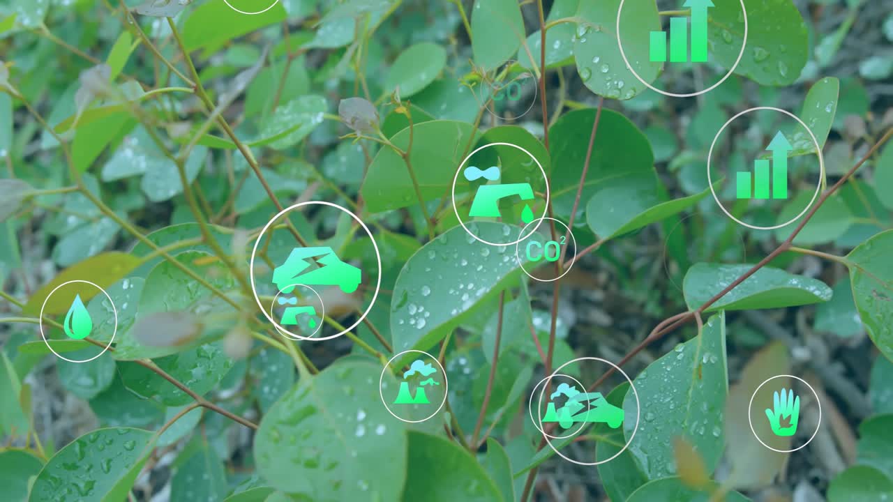 Primo piano iniziale che mostra foglie bagnate, icone di sostenibilità che emergono, convergono e visualizzano dati.