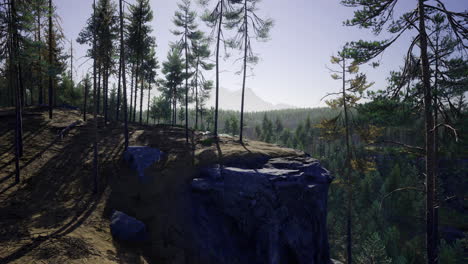 vast forest landscape viewed from a rocky cliff during daylight hours