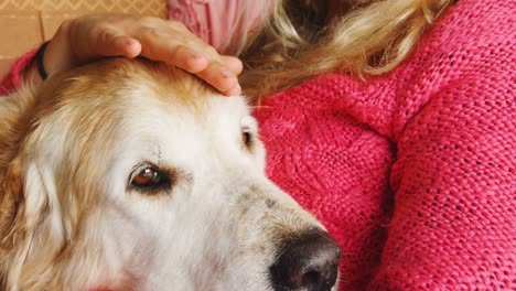 Thoughtful-woman-stroking-her-dog-on-sofa-at-home-4k