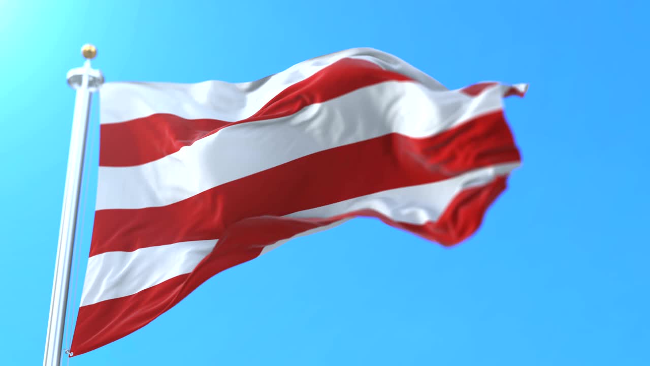 독일 메클렌부르크-포르포메른 주 위스마르 시의 국기.