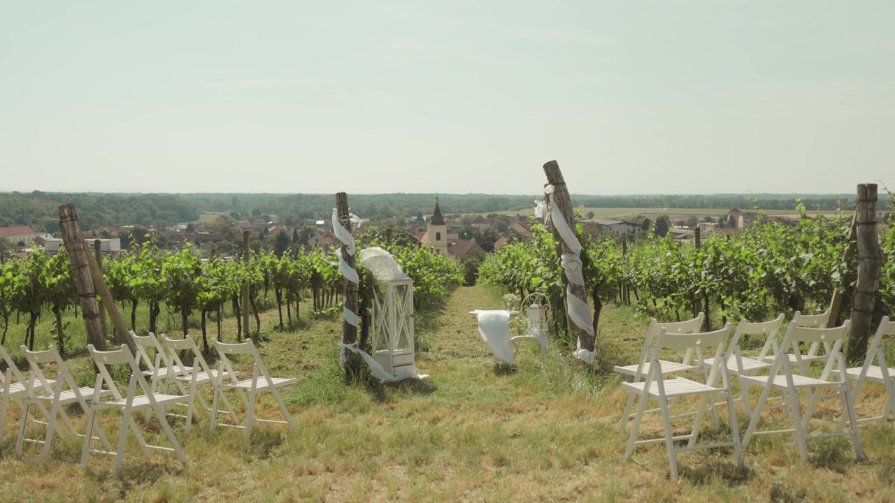 Romantische Hochzeitskulisse inmitten von Weinbergen in Mähren, Tschechische Republik. Sonnige Zeremonie im Freien mit eleganten Blumendekorationen.