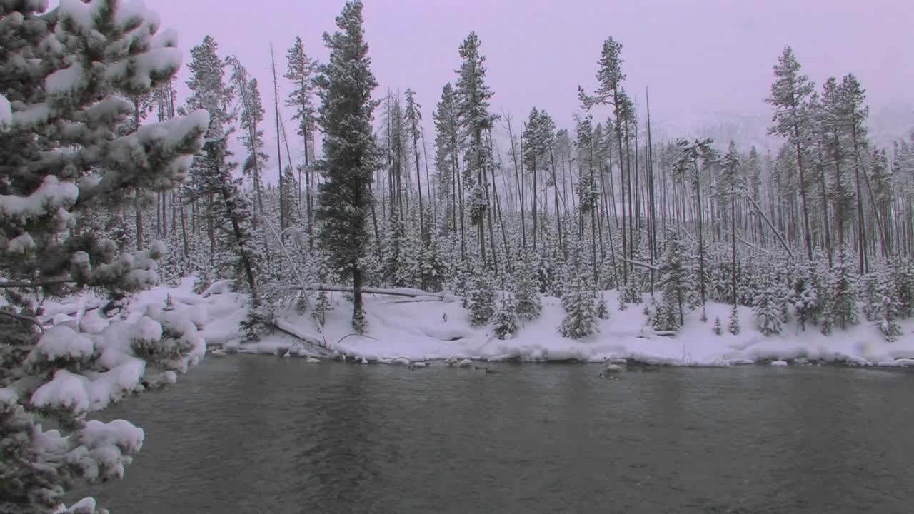Lumimyrsky jäätyneellä järvellä tai purolla.