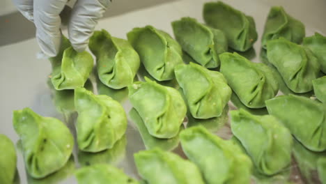 Chef-hand-places-prepared-traditional-Chinese-dumpling-on-tray-filled-with-dozens-of-dumplings,-full-platter-of-veggie-dumplings-ready-to-cook,-close-up-slow-motion-4K