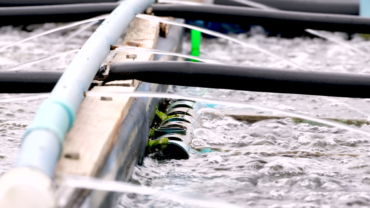 Close-up of Recirculating Aquaculture System (RAS) in Fish Farm