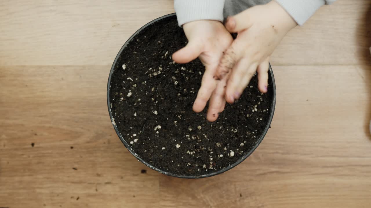 A child's small hand gently presses into dark potting soil in a round container on a wooden floor. This overhead shot captures a quiet, early gardening moment focused on touch and discovery.