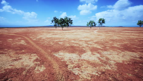 arena agrietada en el verano con el sol