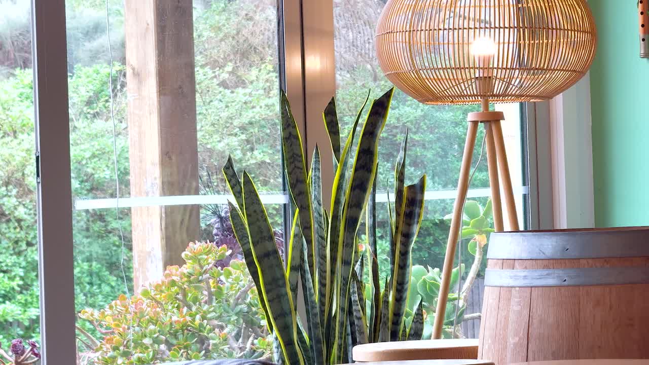 Indoor plants and a lamp by a window with lush greenery outside. Soft lighting creates a calm, inviting atmosphere