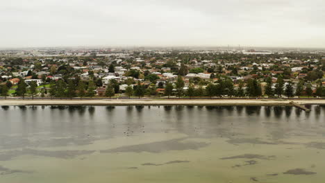 Calming-morning-reflections-of-tall-treeline-along-the-beach-revealing-suburbia---Aerial-dolly-shot,-wide-shot