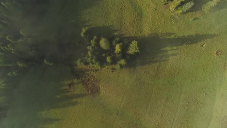 Aerial-top-down-rising-over-green-foggy-meadows-illuminated-by-sunlight