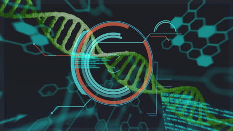 animación de la cadena de adn con fórmula química y procesamiento de datos en fondo negro