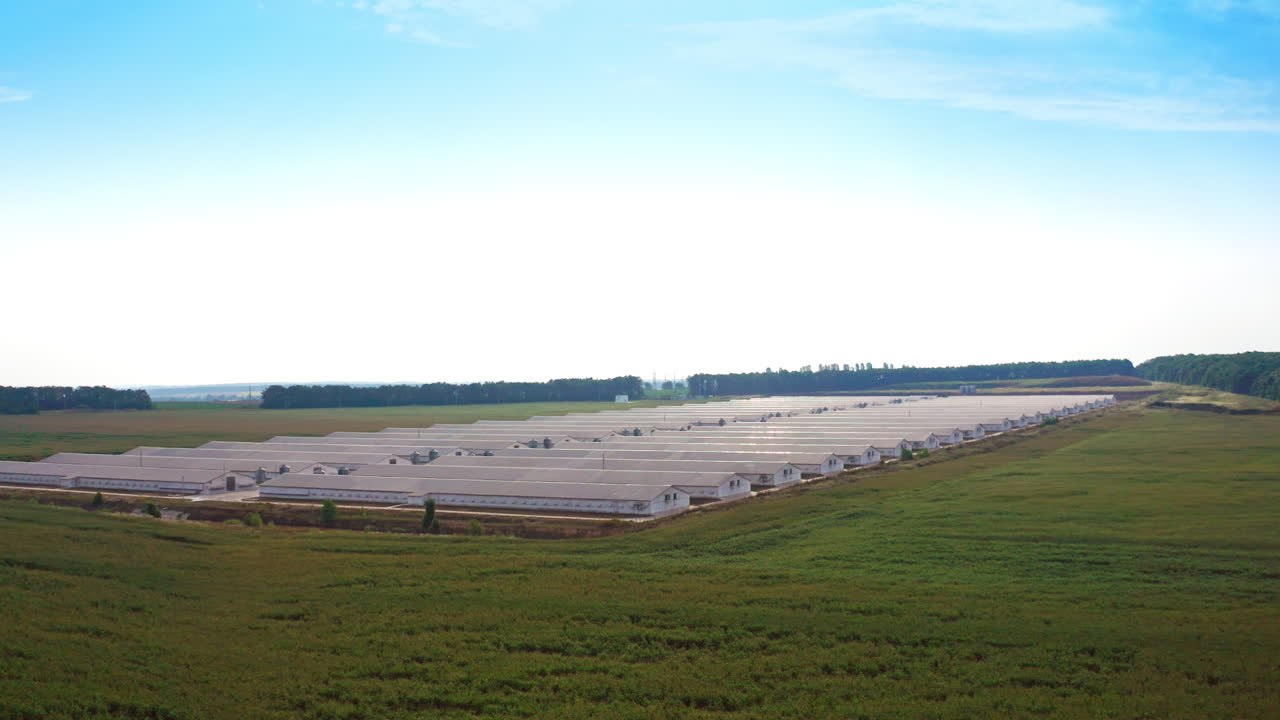 Two rows of big white barns in the territory of modern agricultural farm. Warehouses at the backdrop of green forest.