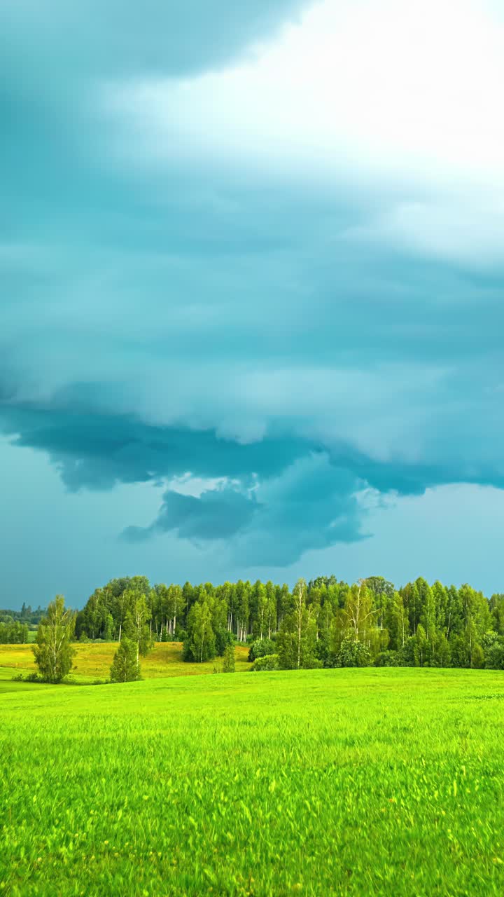 Stormy Landscape with Green Field and Trees