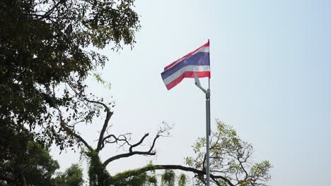 national flag fluttering on a tall pole