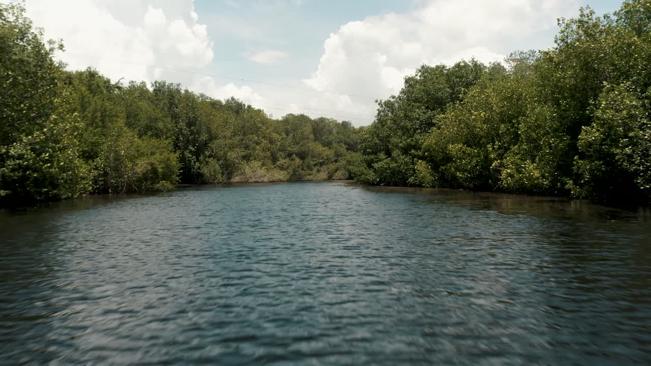 los drones vuelan sobre el agua ondulada con el bosque de manglares cerca de el paredón, escuintla, guatemala