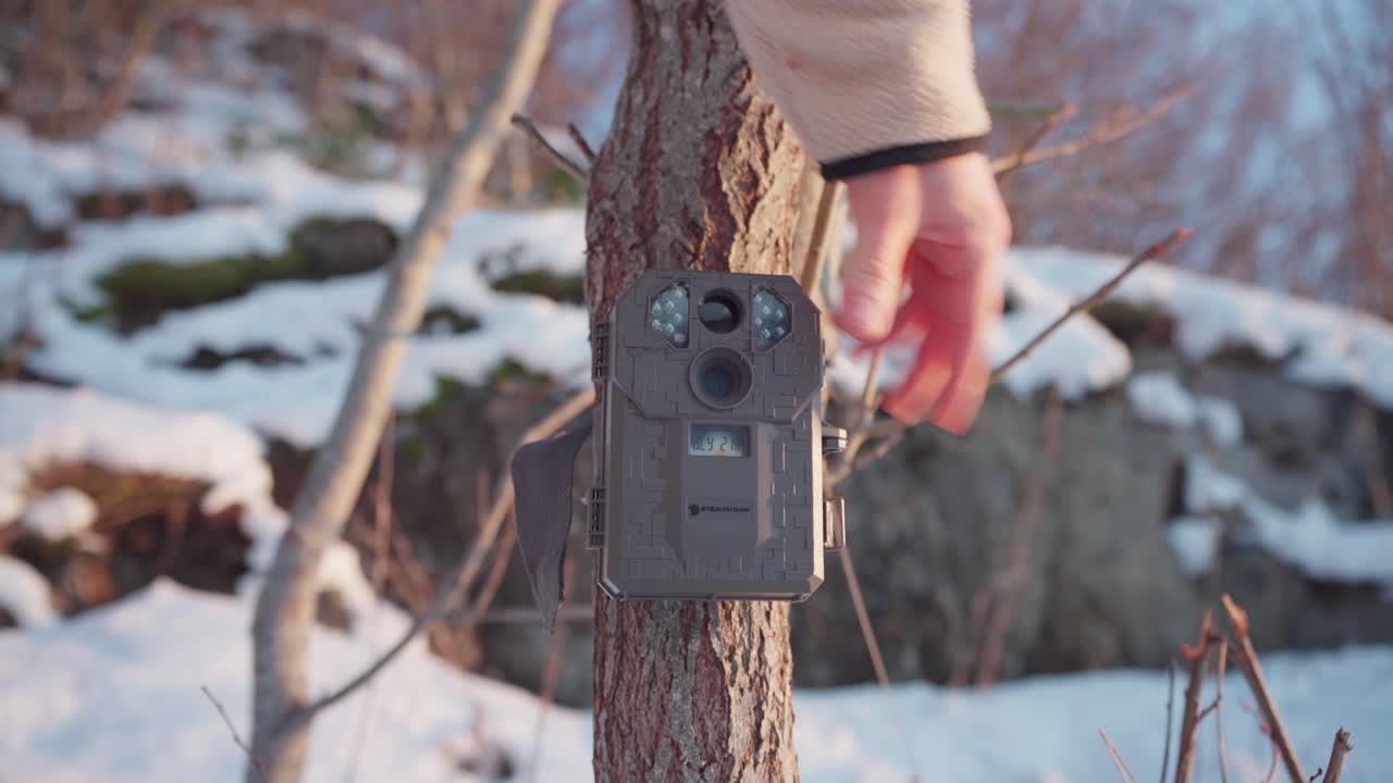 Hand Closes Box Of A Cellular Trail Camera On Tree Trunk At Winter