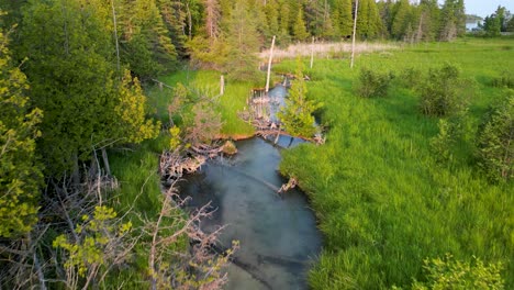 Aerial-view-of-vegetated-creek,-Upper-Peninsula,-Michi