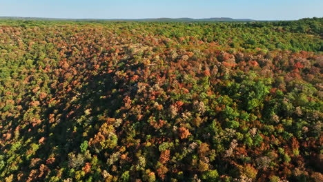 Drone-shot-rotating-over-sun-burnt-trees,-summer-drought-in-Istria,-Croatia