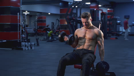 professional bodybuilder exercising in gym. shirtless muscular athlete training his muscles with dumbbells while sitting on chair in sports center.