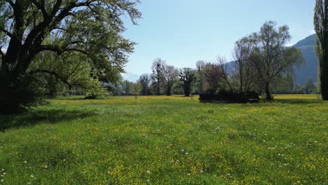 POV-Beautiful-fairytale-like-vibrant-green-meadows-of-Amden,Switzerland