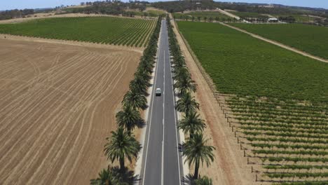 aerial drone view of seppeltsfiled road, south australia