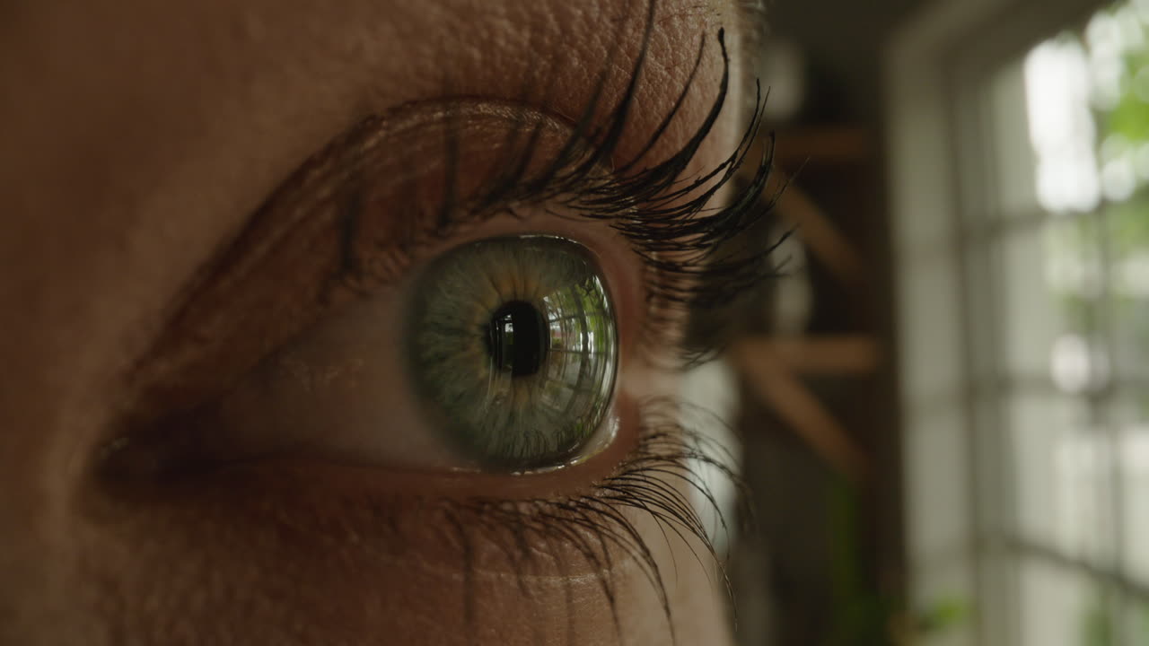 reflejo del ojo humano en el iris vista sana