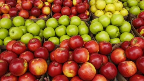 a vibrant display of fresh apples: a colorful array of red, green, and yellow apples in baskets showcasing nature's bounty in a market setting