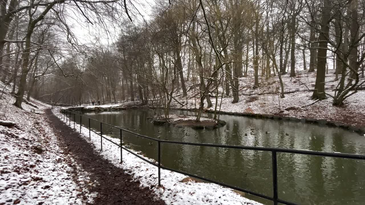 nevica fuori sul laghetto delle anatre nel parco