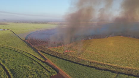 rotating drone reveals controlled burn managing sugarcane farmlands in south africa