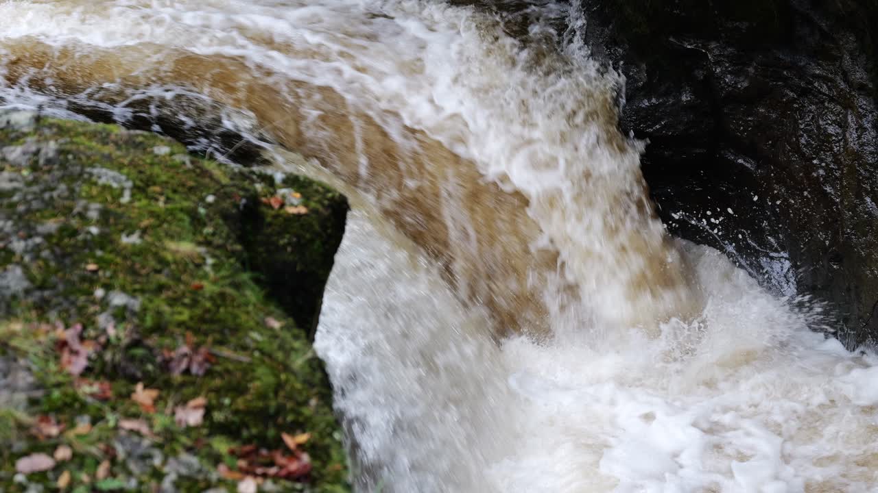 Salmon Leaping Waterfall