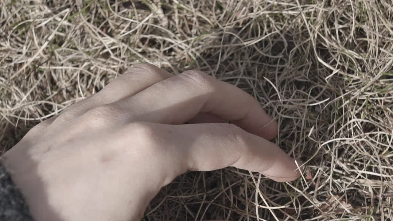 Close-up of a woman's hand sensually touching grass