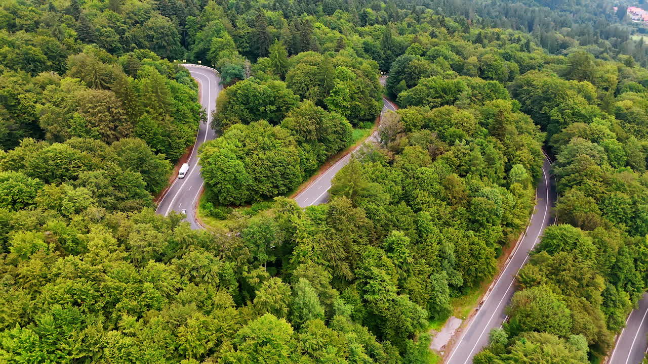 Curvy road through dense Carpathian forest in Romania. Aerial drone shot of a winding asphalt road surrounded by dense green trees in the Carpathian Mountains of Romania