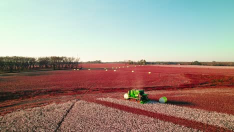 a cotton picker drives through the field during harvest in abbeville, georgia