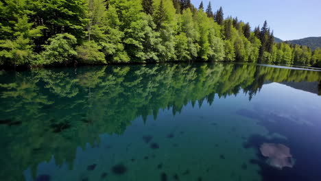 serene forest lake with crystal-clear reflections