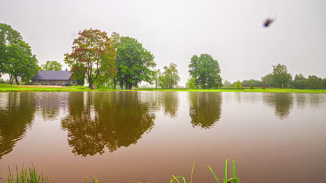 time lapse over a river with brown waters in a delta with a lonely wooden house surrounded by grasses, autumn trees and a rainy afternoon sky