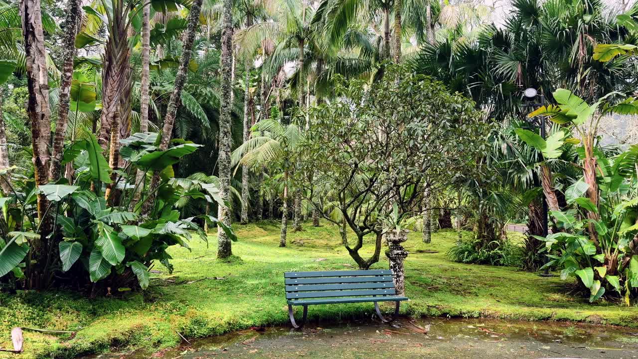Bangku hijau di samping kolam yang dikelilingi taman rimbun Sao Miguel