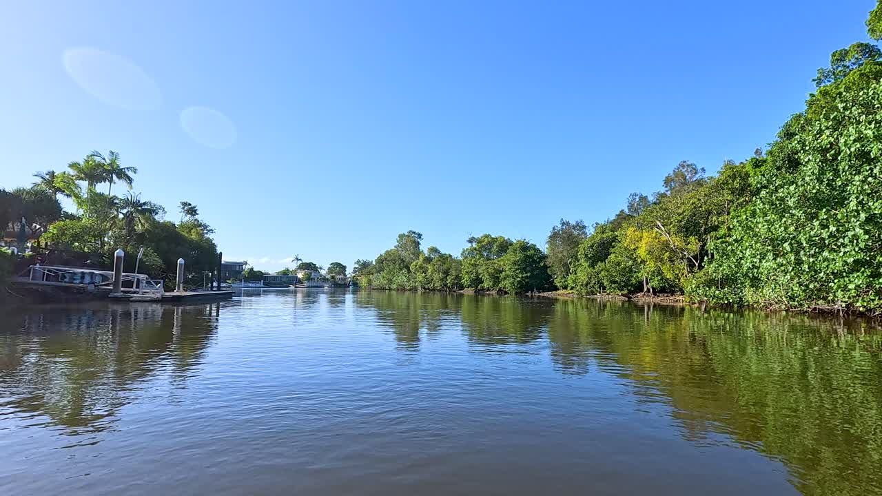 crucero panorámico por el río a través de la exuberante vegetación