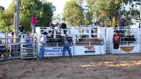 cowboy riding bull at a rodeo event